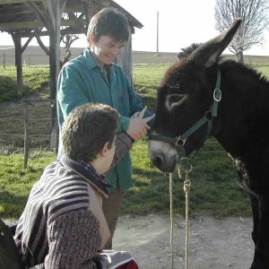 Formation "Accueil social et médiation animale sur sa ferme"