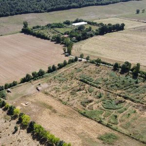 foret jardin arbrerie