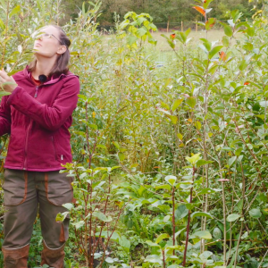 E-Learning Formation en Agroforesterie Syntropique